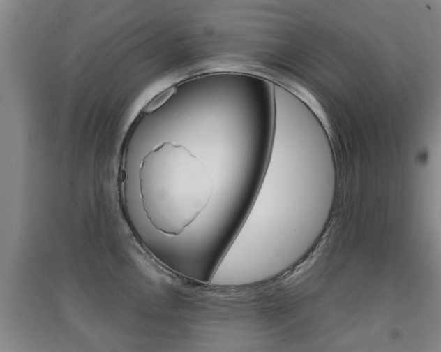 X0000091551146200708171036