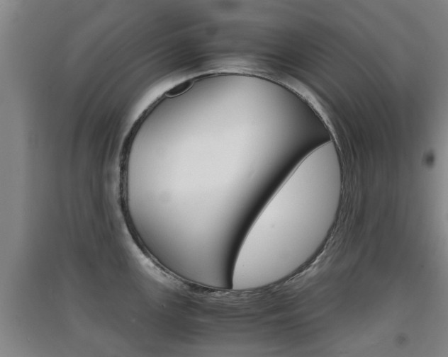 X0000091551147200708171036