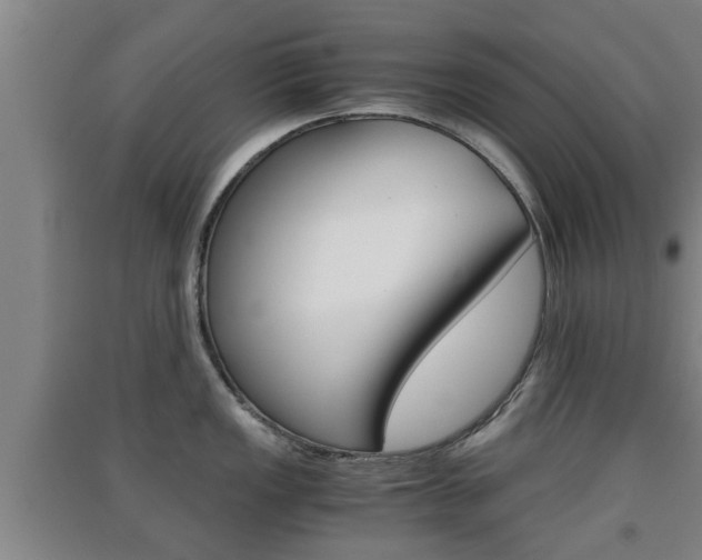 X0000091551149200708171036