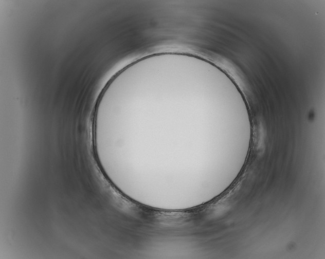 X0000091551150200708171036