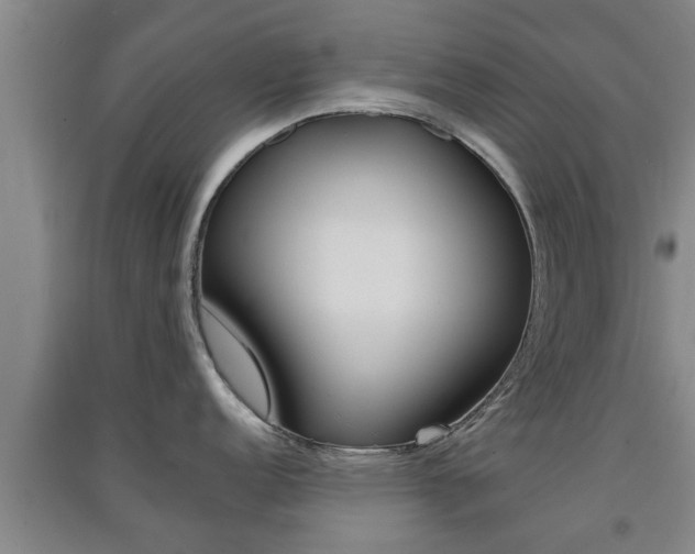 X0000091551152200708171036