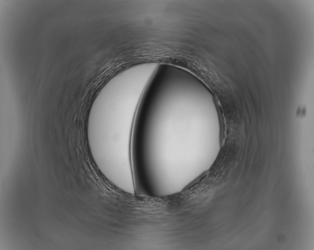 X0000091551153200708171035