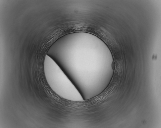 X0000091551154200708171035