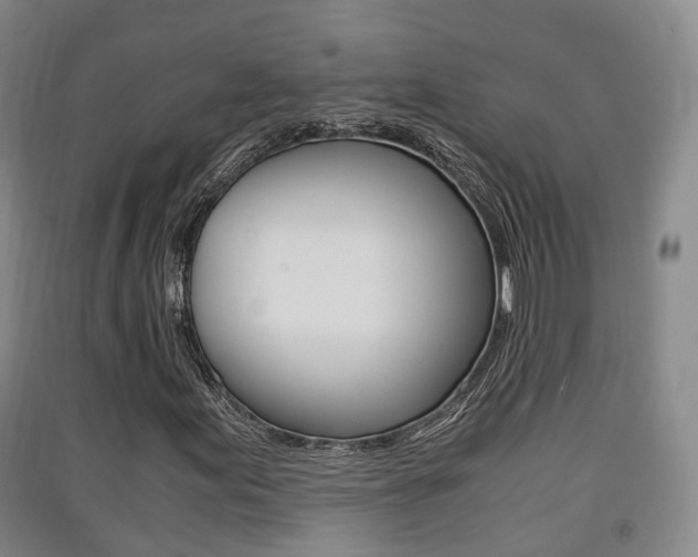 X0000091551155200708171035