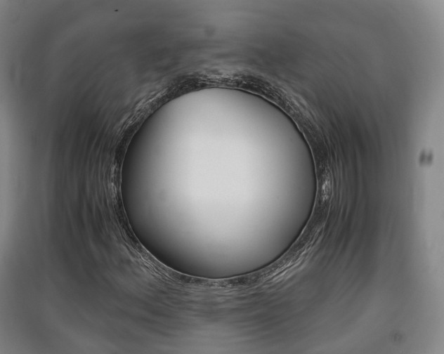 X0000091551156200708171035