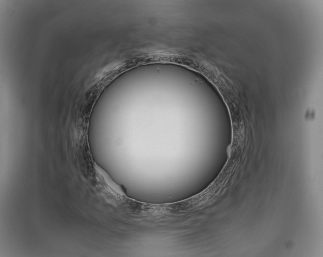 X0000091551157200708171035