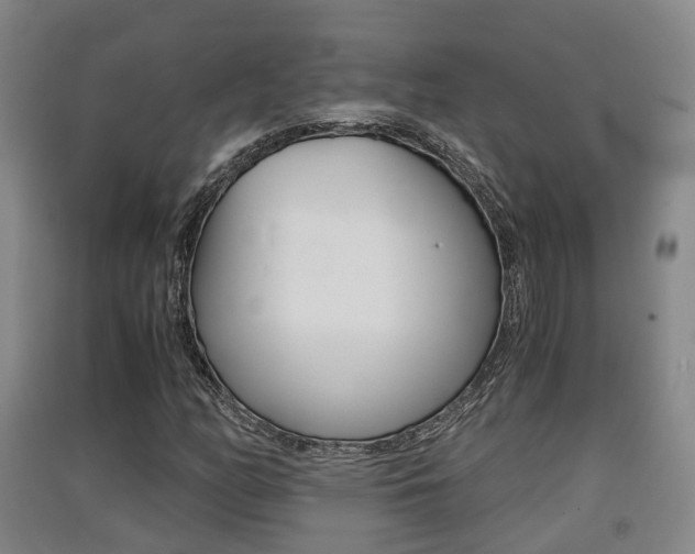 X0000091551158200708171035