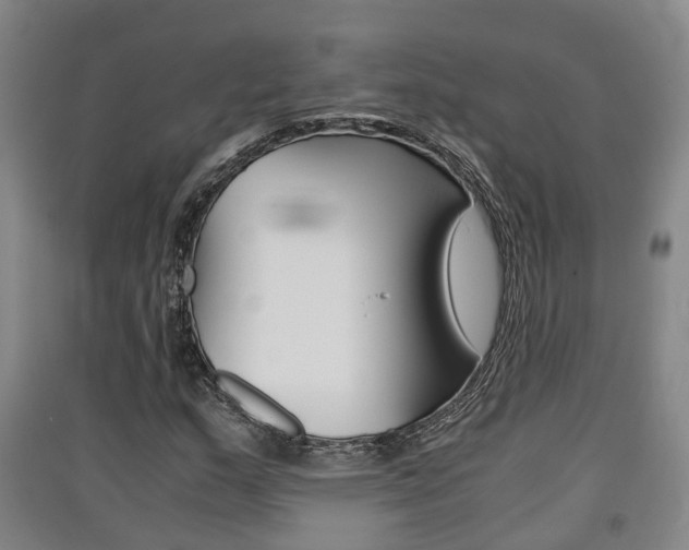 X0000091551159200708171035