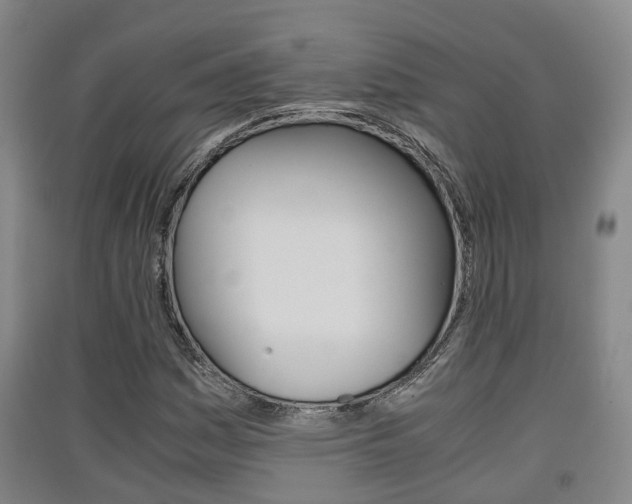 X0000091551161200708171035
