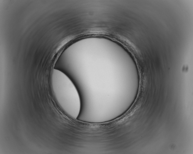 X0000091551162200708171035
