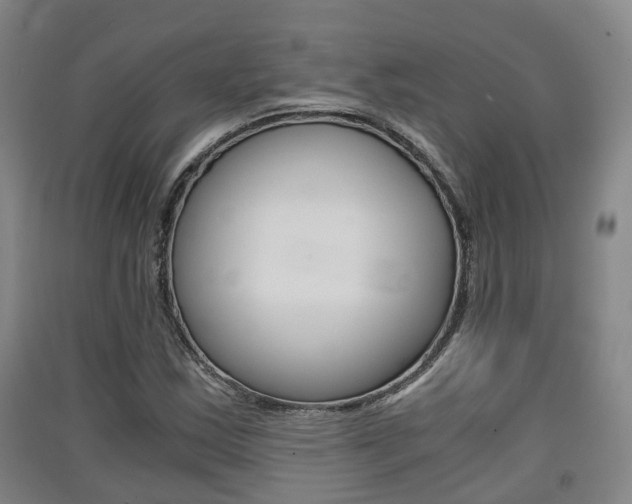 X0000091551163200708171035