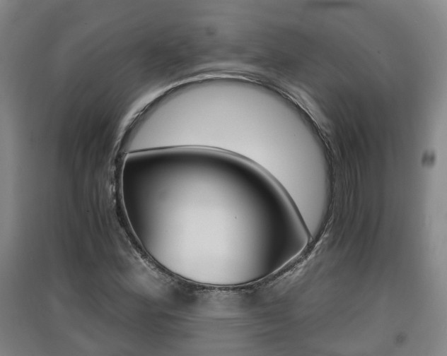 X0000091551164200708171035