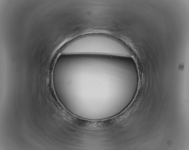 X0000091551165200708171035