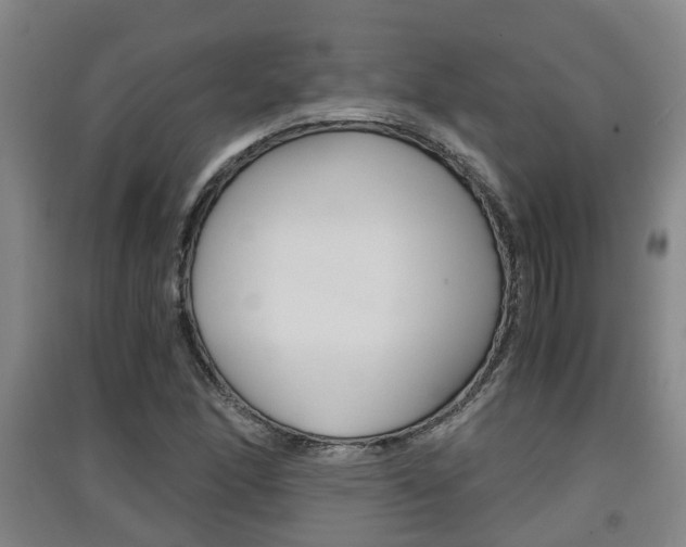 X0000091551166200708171035