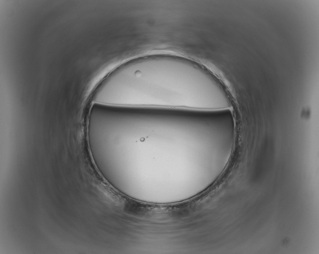 X0000091551167200708171035