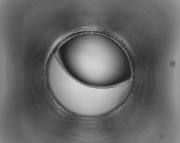 X0000091551168200708171035