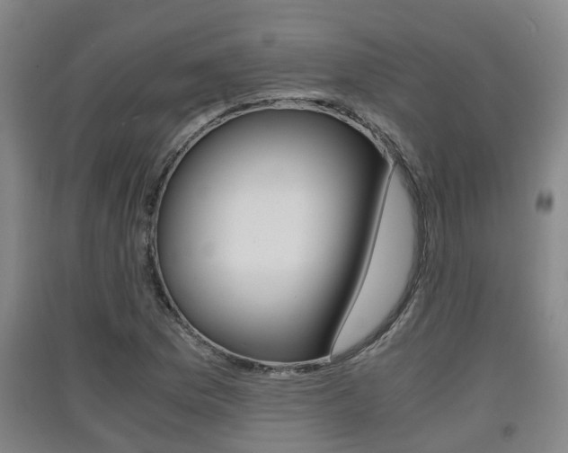 X0000091551169200708171035