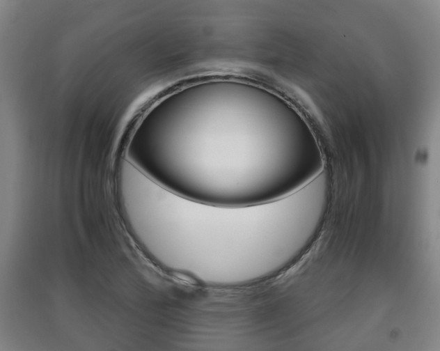X0000091551172200708171035