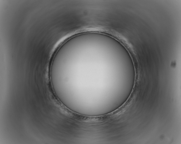 X0000091551174200708171035