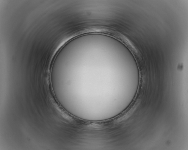 X0000091551178200708171035