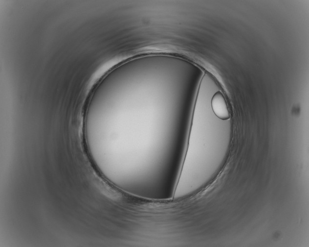 X0000091551179200708171035