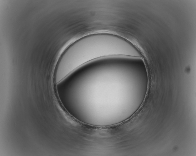 X0000091551181200708171035