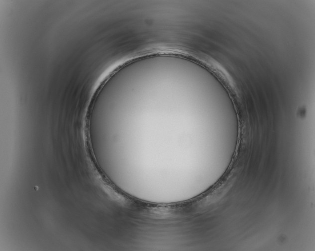 X0000091551182200708171035
