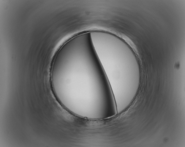 X0000091551183200708171035