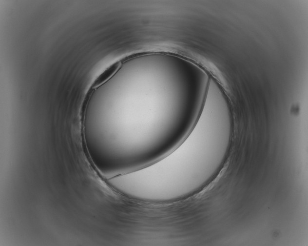 X0000091551184200708171035