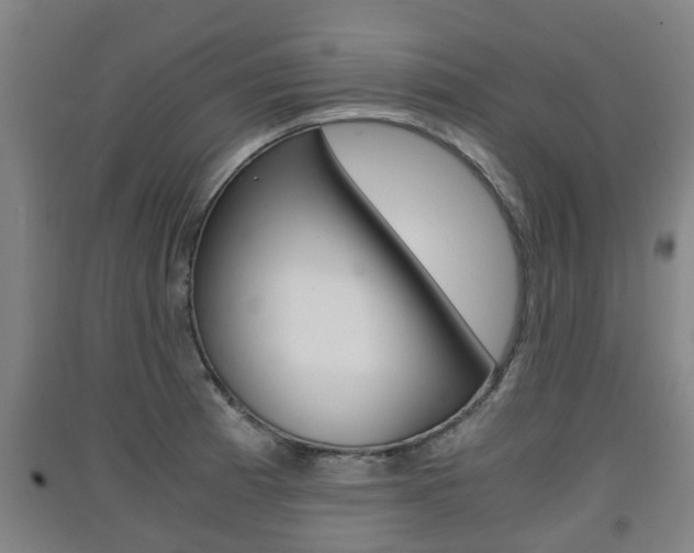 X0000091551185200708171035