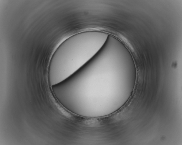 X0000091551186200708171035