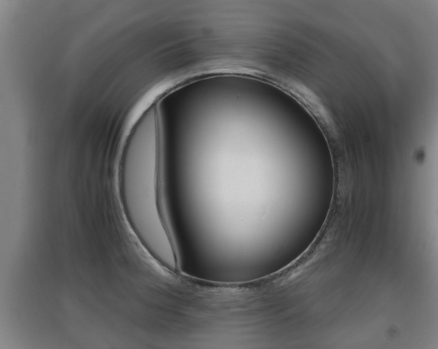 X0000091551188200708171035