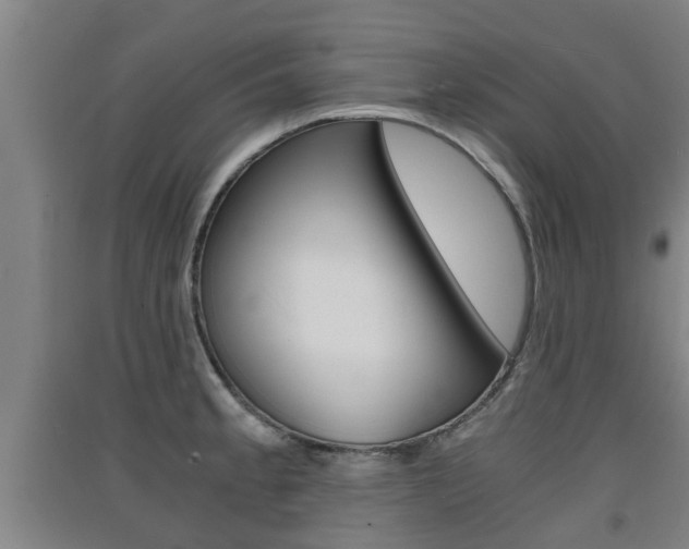 X0000091551189200708171035