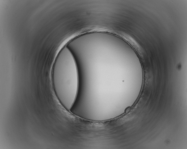 X0000091551190200708171035