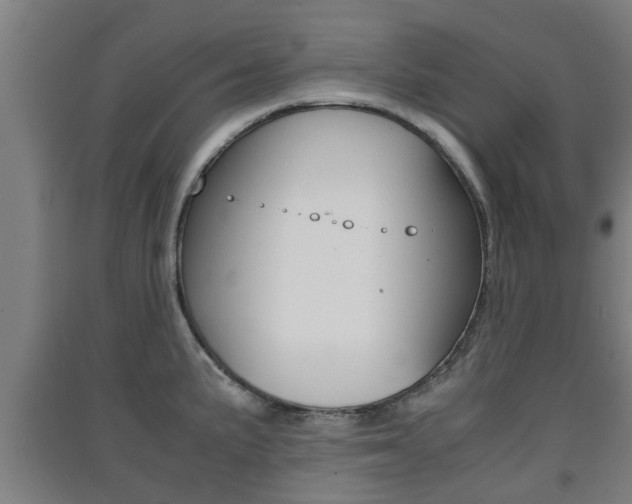 X0000091551191200708171035