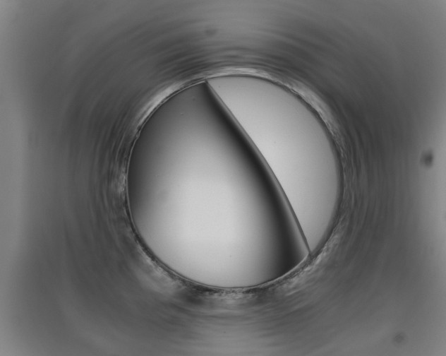 X0000091551193200708171035