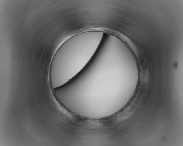 X0000091551194200708171035