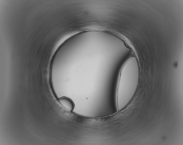 X0000091551195200708171035
