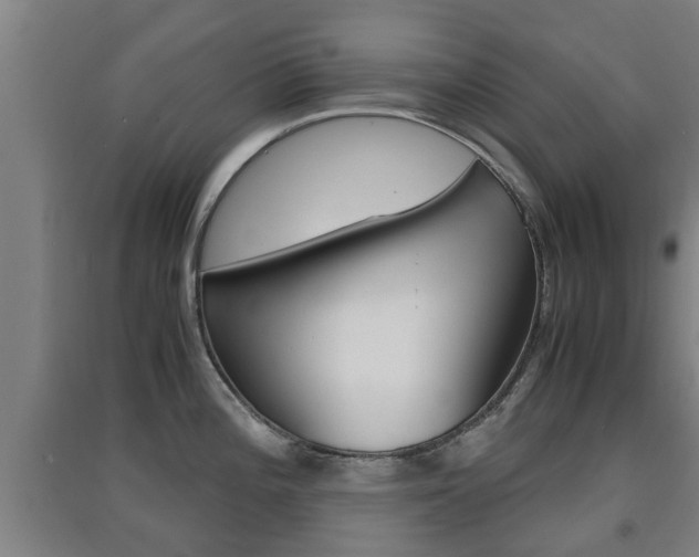X0000091551196200708171035