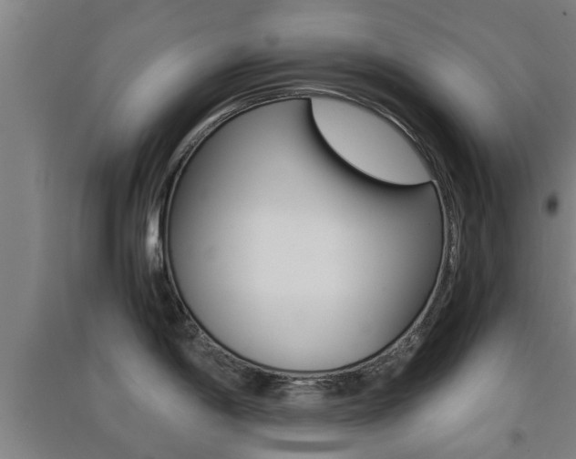 X0000091551198200708171035