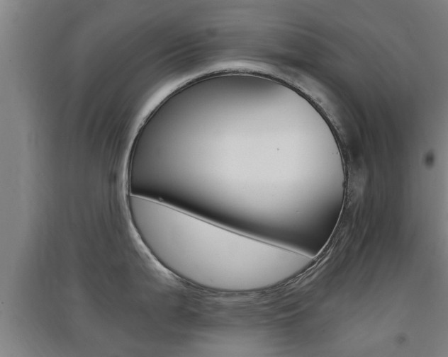 X0000091551199200708171035