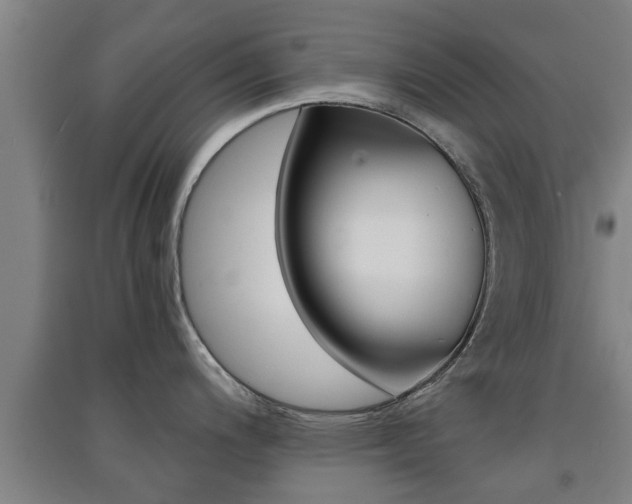 X0000091551200200708171035