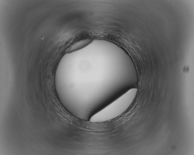 X0000091551201200708171034