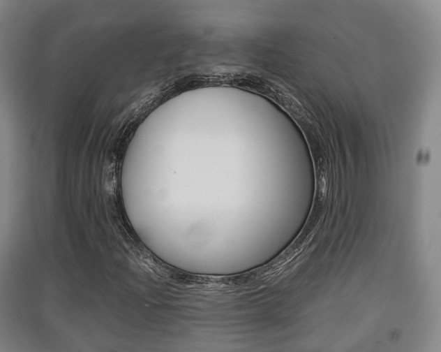 X0000091551204200708171034