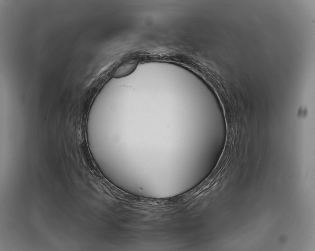 X0000091551205200708171034