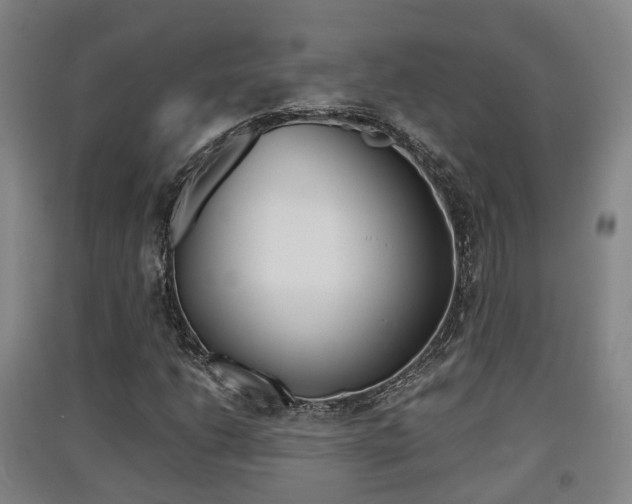 X0000091551206200708171034