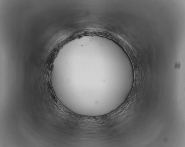 X0000091551207200708171034
