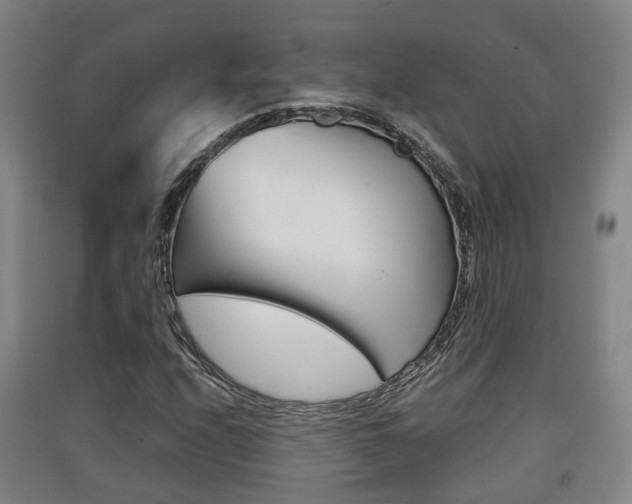 X0000091551208200708171034