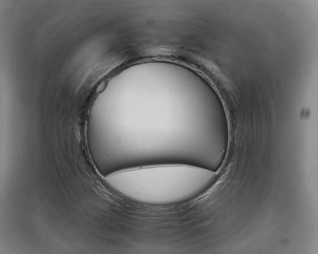 X0000091551209200708171034