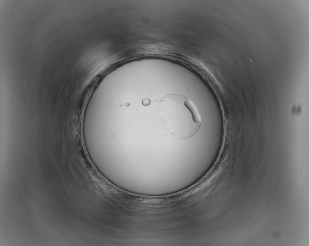 X0000091551211200708171034